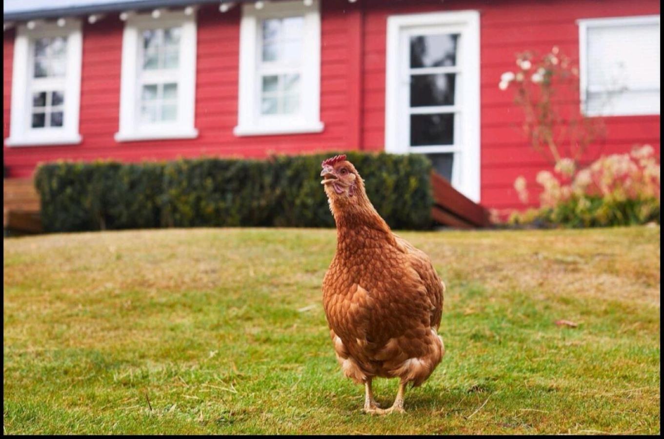 Little Red School House Vila Oamaru Exterior foto